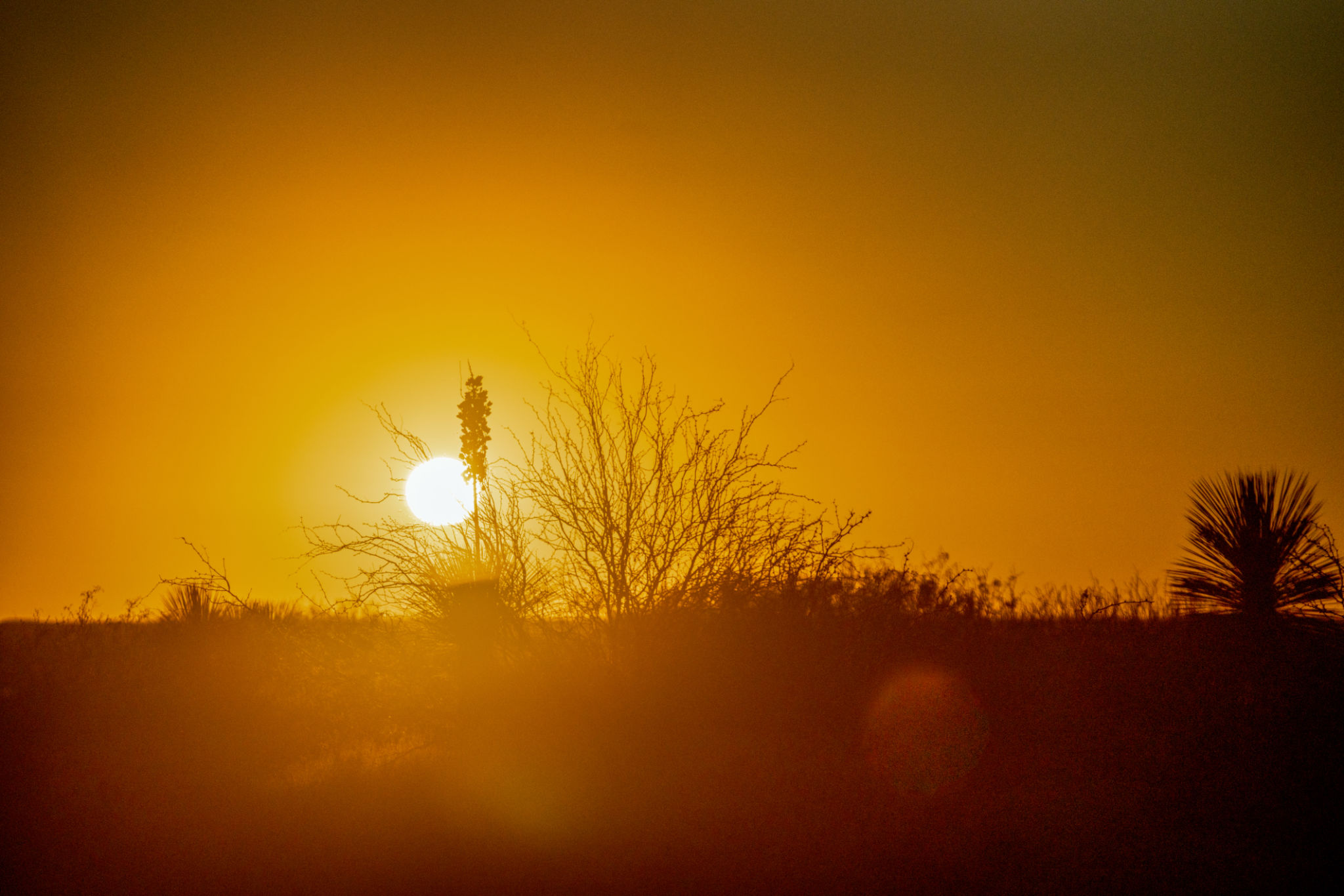 A Beautiful Sunset Drive Through West Texas And New Mexico On A Lonely County Road A Beautiful Sunset Drive Through West Texas And New Mexico On A Lonely County Road