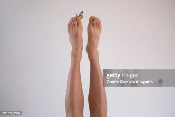 feet with butterfly - man feet stockfoto's en -beelden