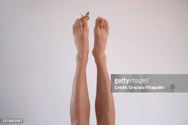feet with butterfly - beautiful male feet stock pictures, royalty-free photos & images