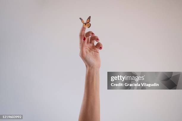 hand with butterfly - butterfly hand stock-fotos und bilder