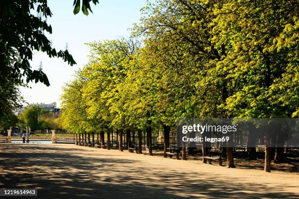 paris : jardin du luxembourg is empty during pandemic covid 19 in europe. - saint germain stock pictures, royalty-free photos & images