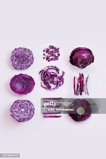 red cabbage still life image. - cavolo foto e immagini stock