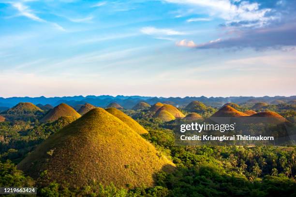 chocolate hills natural monument, the philippines. - filippino foto e immagini stock