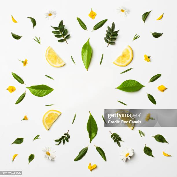 lemon frame - floral frame stockfoto's en -beelden