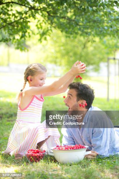 happy father with child eating cherries. - berry picker stock pictures, royalty-free photos & images