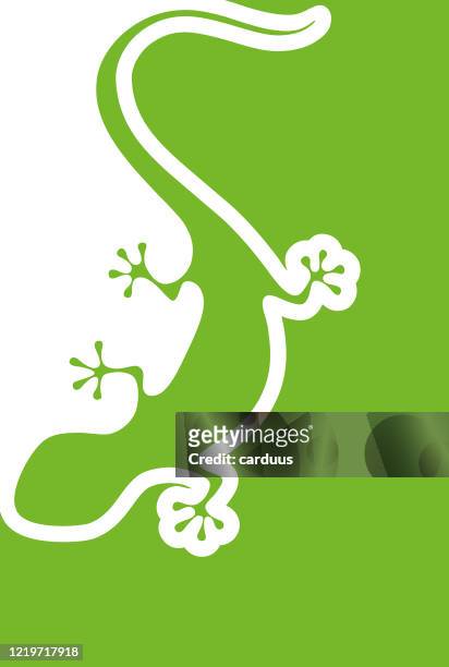 silhouette grüne eidechse - reptile stock-grafiken, -clipart, -cartoons und -symbole