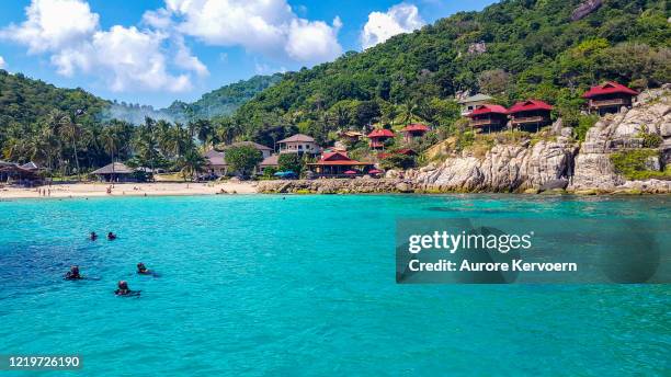 ao leuk beach, koh tao, thailand - koh tao thailand stock pictures, royalty-free photos & images