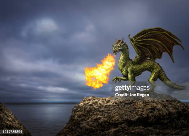 fiery dragon - draak fictieve figuren stockfoto's en -beelden