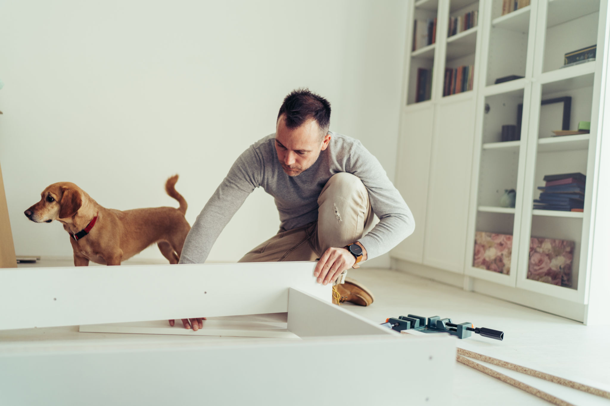 diy pet furniture