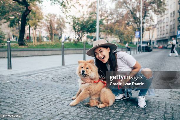 beautiful young woman with her dog - shiba inu adult stock pictures, royalty-free photos & images