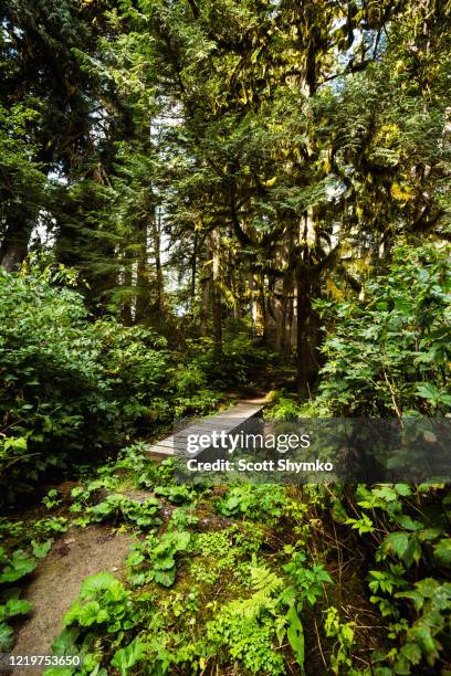 Kitimat 161 British Columbia Kitimat Stock Photos, High-Res Pictures, and ...