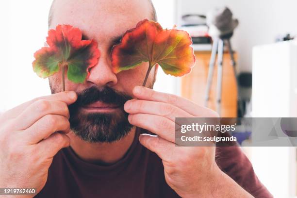 bearded man covering his eyes with geranium leaves - geranium stockfoto's en -beelden