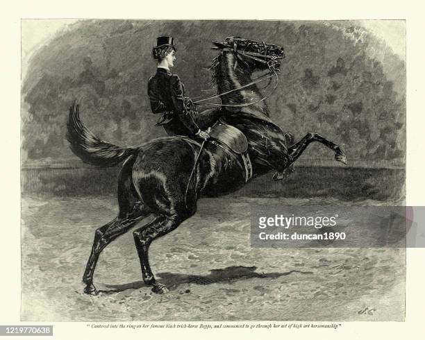 ilustrações, clipart, desenhos animados e ícones de mulher realizando habilidades de equitação em show de cavalos, vitoriano, século 19 - dressage