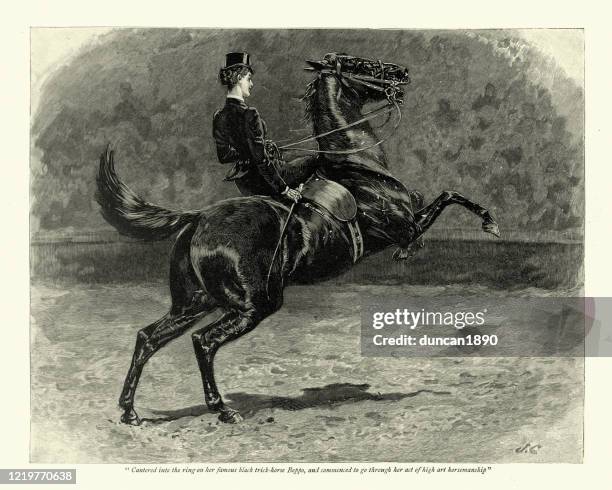 woman performing riding skills at horse show, victorian, 19th century - dressage stock illustrations