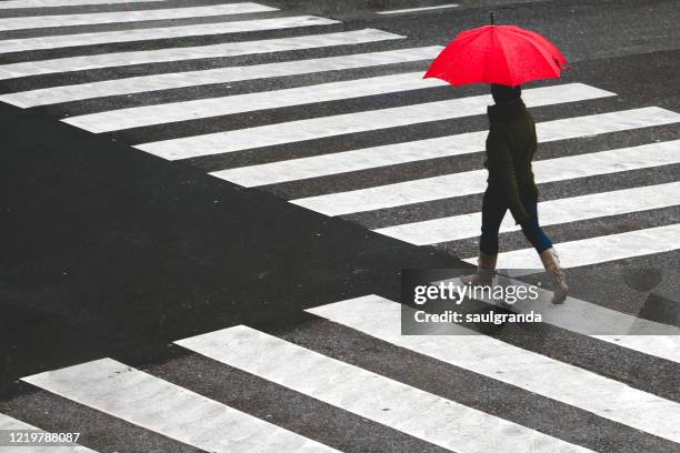 woman with umbrella crossing a crosswalk - zebra crossing stock pictures, royalty-free photos & images
