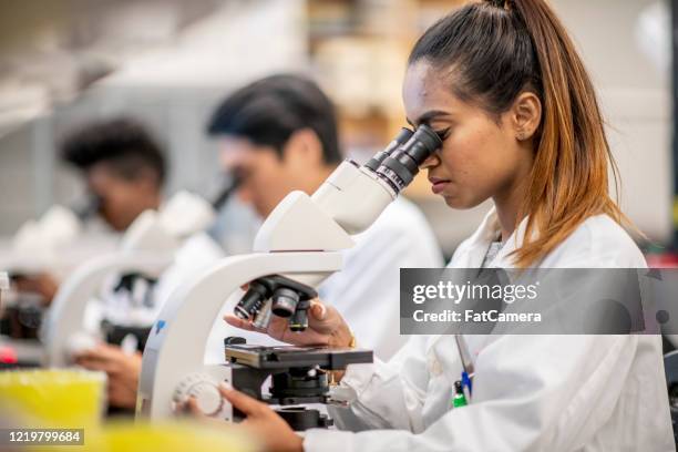 scientist look for a cure - medical lab technician stock pictures, royalty-free photos & images