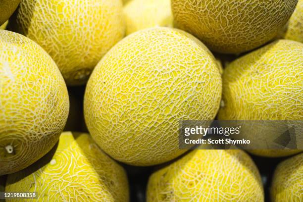 a pile of honeydew melon on display - honeydew melon stock pictures, royalty-free photos & images