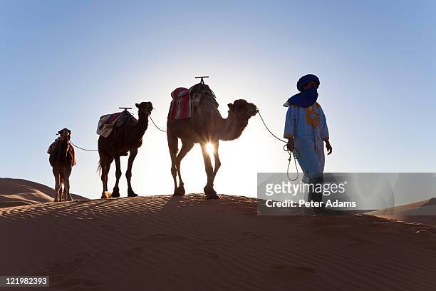 tuareg man with camel train, sahara desert, morocc - camel isolated stock pictures, royalty-free photos & images
