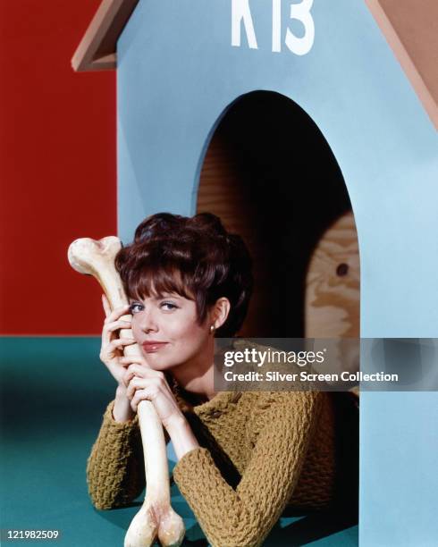 Barbara Feldon, US actress, poses holding an over-sized bone while laying in a dog kennel labelled 'K13' in a publicity portrait for the US...