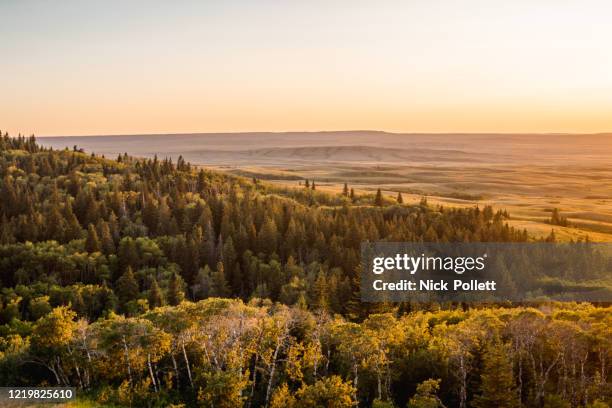 sunset over cypress hills - saskatchewan stock pictures, royalty-free photos & images