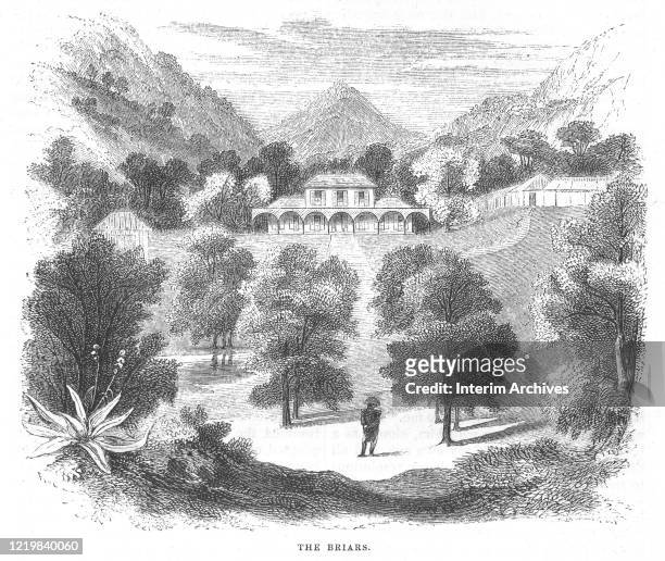 Illustration shows Napoleon Bonaparte standing among the gardens while looking towards the Briars, where he resided during his first months of exile...