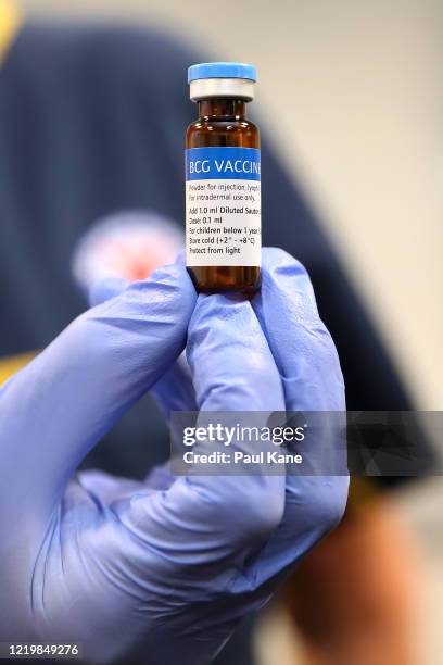 Clinical staff member holds a BCG vial in the trial clinic at Sir Charles Gairdner hospital on April 20, 2020 in Perth, Australia. Healthcare workers...