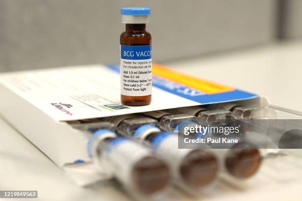 Vials of the BCG vaccine are seen in the trial clinic at Sir Charles Gairdner hospital on April 20, 2020 in Perth, Australia. Healthcare workers in...
