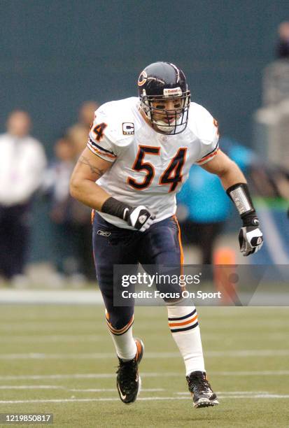 Brian Urlacher of the Chicago Bears in action against the Seattle Seahawks during an NFL football game on November 18, 2007 at Qwest Field in...