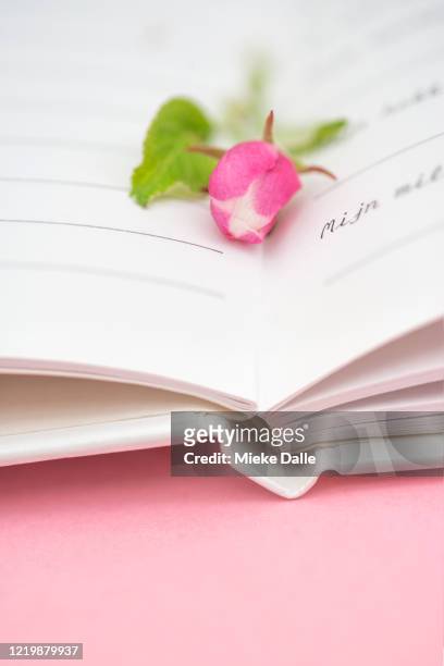 dagboek met roze bloesem bloemetje - dagboek stock-fotos und bilder