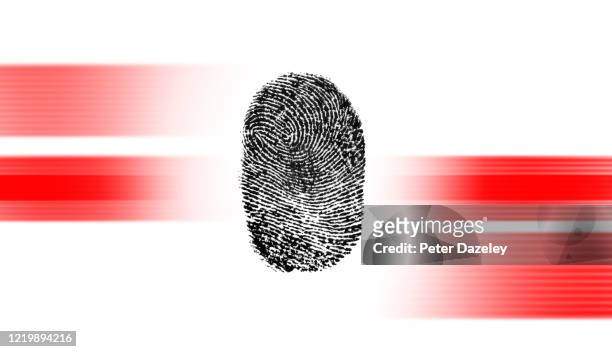 fingerprint with red digital bands on white background - anti terrorism stock pictures, royalty-free photos & images
