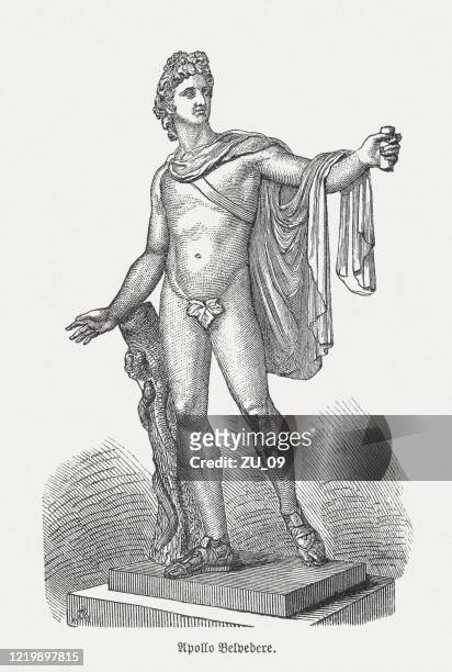 apollo belvedere, ancient sculpture, vatican, wood engraving, published in 1893 - apollo stock illustrations