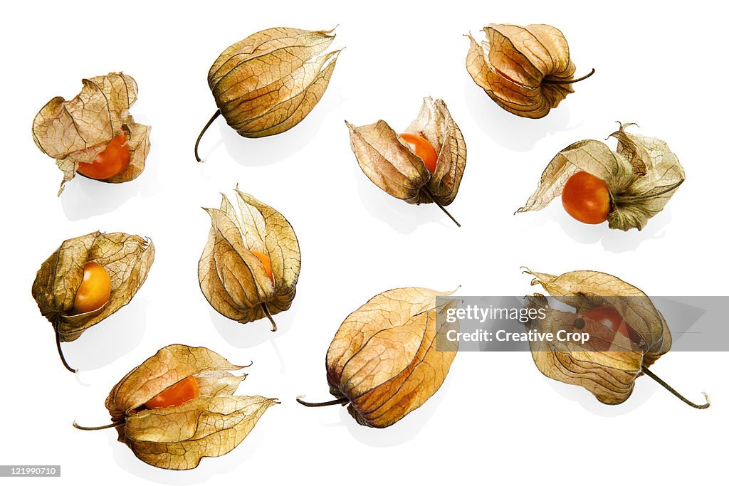 Assortment of physalis fruit