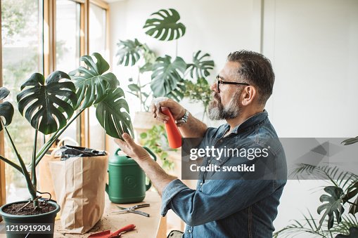 Flower gardening during isolation period Flower gardening during isolation period