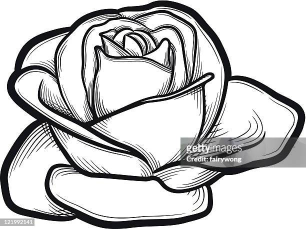 1,253 Cartoon Rose Photos and Premium High Res Pictures - Getty Images
