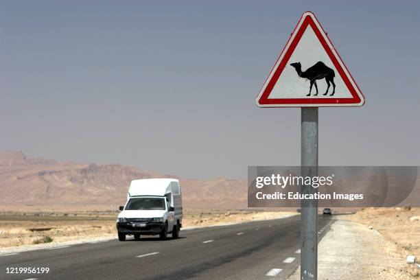 Camel warning highway sign Tunisia.