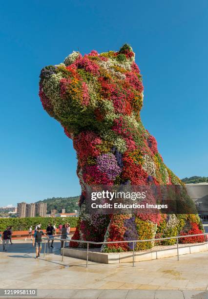 Puppy sculpture from flowering plants by Jeff Koons outside Guggenheim Museum Bilbao, Spain.