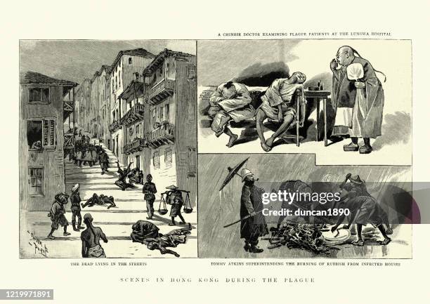 ilustrações de stock, clip art, desenhos animados e ícones de dead lying in streets of hong kong, from bubonic plague - infestation