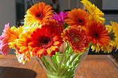 Colorful gerber daisies in a glass vase on a wooden table in a bright modern room, retro spring design