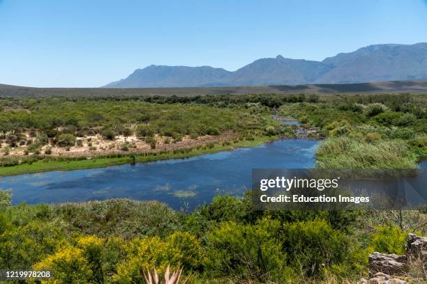 Swellendam, Western Cape, South Africa, The Breede River viewed from Aloe Hill, Bontebok on the Garden Route.