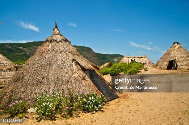 indigenous village - brazil village stock pictures, royalty-free photos & images