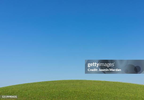 perfect meadow under blue sky - golfbaan green stockfoto's en -beelden