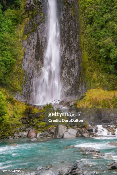 thunder creek falls, haas pass, mount aspiring national park in west coast, new zealand - haas stock pictures, royalty-free photos & images
