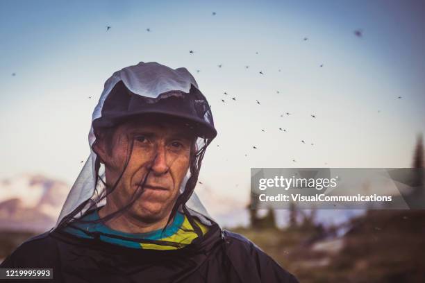 portret van een mens die door muggen wordt overspoeld - mug stockfoto's en -beelden