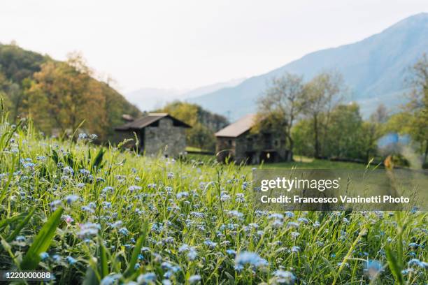 rural scene in the mountains. - flower stall stock-fotos und bilder