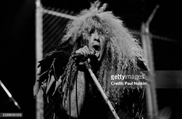American Heavy Metal singer Dee Snider, of the group Twisted Sister, performs onstage at the Poplar Creek Music Theater, Hoffman Estates, Illinois,...