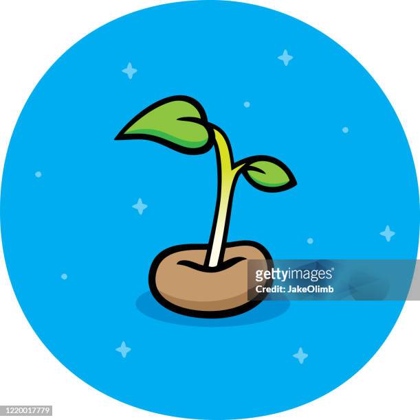 Seed Growing Cartoon High Res Illustrations - Getty Images