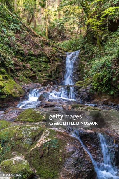 Small Brook 7,667 Small Brook Stock Photos, High-Res Pictures, and Images - Getty ...