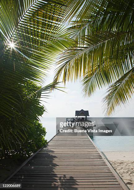 maldivian dock - ari atoll stock-fotos und bilder