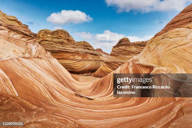 the wave rock formation, panorama in coyote buttes north, vermillion cliffs, arizona. - canyon stockfoto's en -beelden