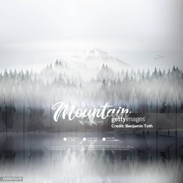 pine forest mountains in winter - pine trees lake stock illustrations